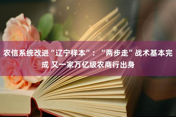 农信系统改进“辽宁样本”：“两步走”战术基本完成 又一家万亿级农商行出身