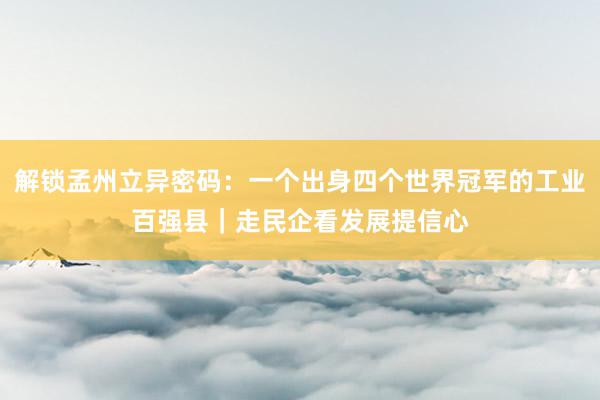 解锁孟州立异密码：一个出身四个世界冠军的工业百强县｜走民企看发展提信心