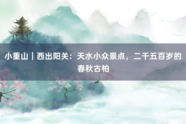 小重山｜西出阳关：天水小众景点，二千五百岁的春秋古柏