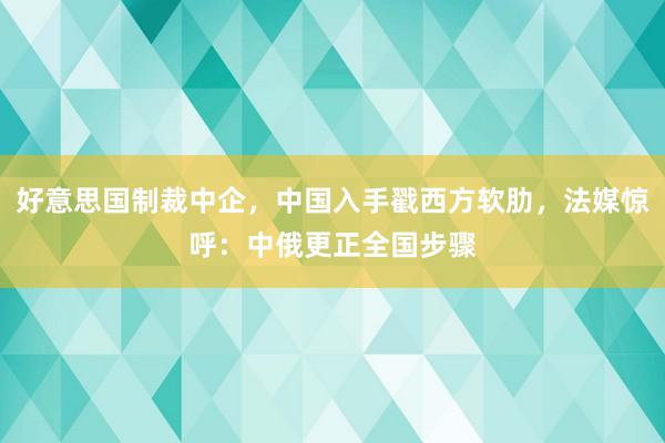 好意思国制裁中企，中国入手戳西方软肋，法媒惊呼：中俄更正全国步骤