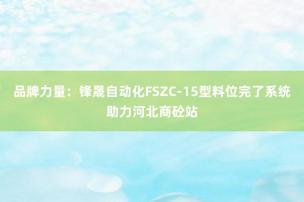 品牌力量：锋晟自动化FSZC-15型料位完了系统助力河北商砼站