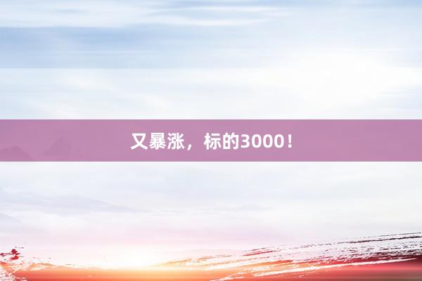 又暴涨，标的3000！