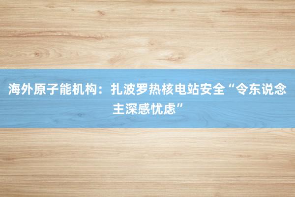 海外原子能机构：扎波罗热核电站安全“令东说念主深感忧虑”