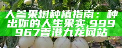 人参果树种植指南：种出你的人生果实, 999967香港九龙网站