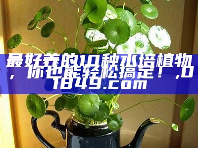 最好养的10种水培植物，你也能轻松搞定！, 01849.com