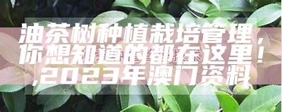 油茶树种植栽培管理，你想知道的都在这里！, 2023年澳门资料