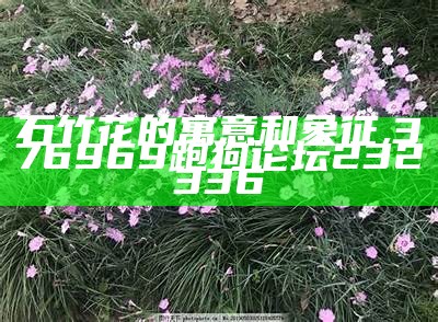 石竹花的寓意和象征, 376969跑狗论坛232336