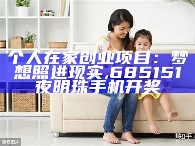 个人在家创业项目：梦想照进现实, 685151夜明珠手机开奖