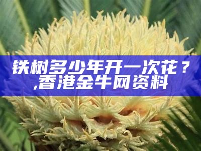 铁树多少年开一次花？, 香港金牛网资料