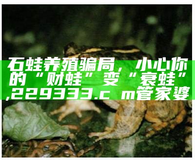 石蛙养殖骗局，小心你的“财蛙”变“衰蛙”, 229333.cσm管家婆