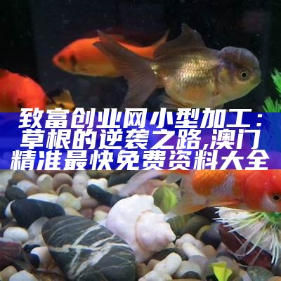 致富创业网小型加工：草根的逆袭之路, 二四六好彩5334cc赢彩