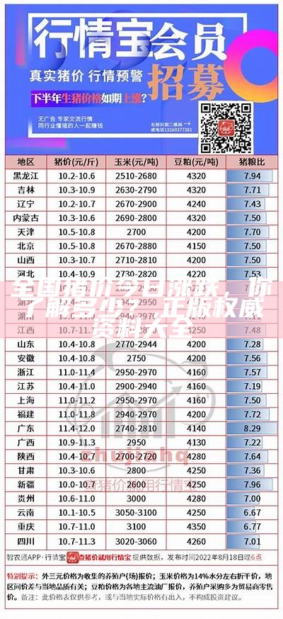 2025年1月4日 第11页