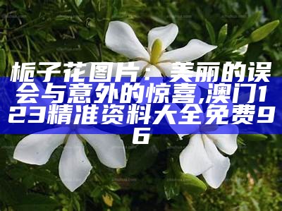 栀子花图片：美得不像话, 澳门今天晚上开什么号码