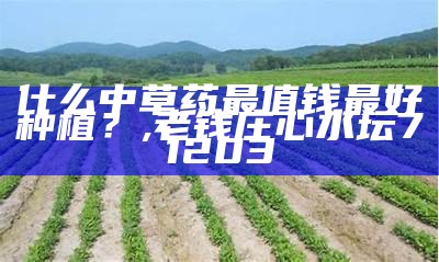 农村中药材种植：不一样的“绿色黄金”, 空气炸锅炸肠多少度多长时间