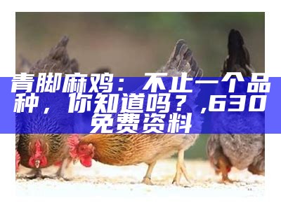 青脚麻鸡：不止一个品种，你知道吗？, 630免费资料