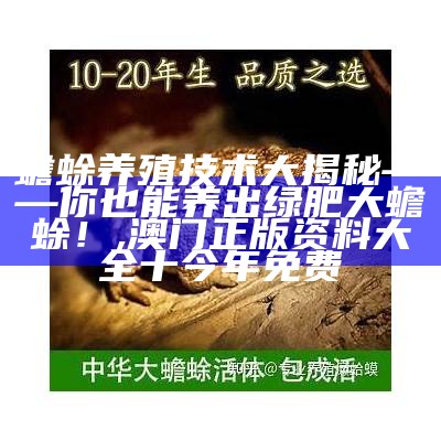 蟾蜍养殖技术大揭秘——你也能养出绿肥大蟾蜍！, 澳门正版资料大全十今年免费