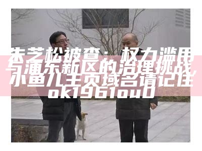 朱芝松被查：权力滥用与浦东新区的治理挑战, 小鱼儿主页域名请记住ok1961ou0