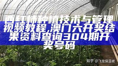 西红柿种植技术与管理视频教程, 澳门六开奖结果资料查询304期开奖号码