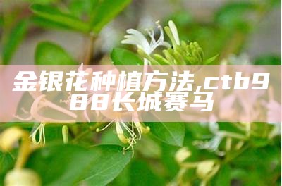 金银花种植方法, ctb988长城赛马