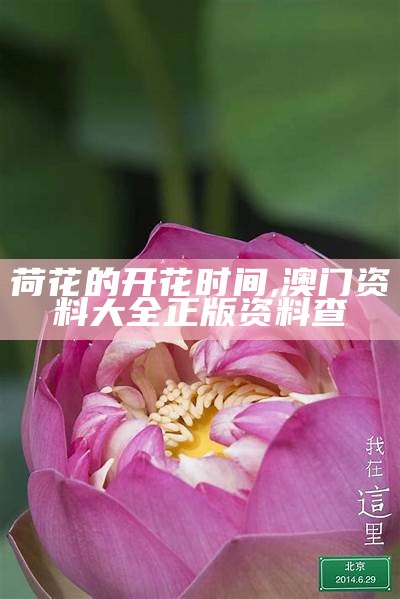 荷花的开花时间, 澳门2023年精准资料大全