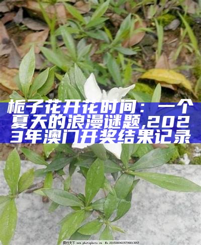 栀子花开花时间：一个夏天的浪漫谜题, 2023年澳门开奖结果记录