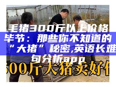 30—40斤小猪，到底多少钱一斤？, 蓝月亮四肖三期必出