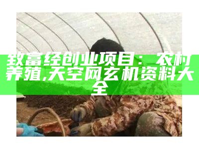 在农村种植什么比较挣钱, tkcp.cc