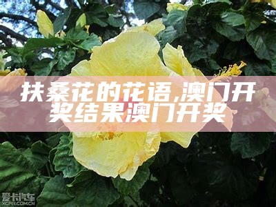 扶桑花的花语, 澳门开奖结果澳门开奖