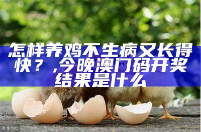 怎样养鸡不生病又长得快？, 今晚澳门码开奖结果是什么