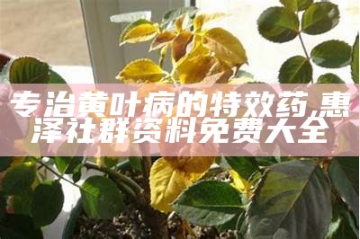 专治黄叶病的特效药, 惠泽社群资料免费大全