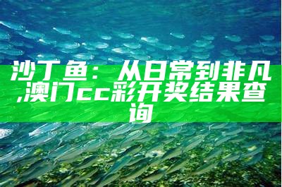 沙丁鱼：从日常到非凡, 澳门cc彩开奖结果查询