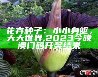 花卉种子：小小身躯，大大世界, 2023今晚澳门码开奖结果