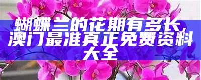 烟雨蒙蒙 第2页