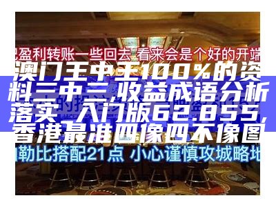 澳门王中王100%的资料三中三,收益成语分析落实_入门版62.855, 香港最准四像四不像图