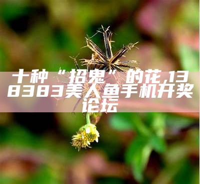 十种“招鬼”的花, 138383美人鱼手机开奖论坛