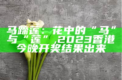 马蹄莲：花中的“马”与“莲”, 2023香港今晚开奖结果出来