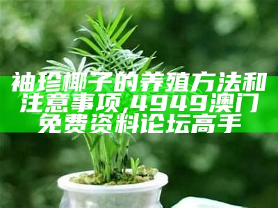 袖珍椰子的养殖方法和注意事项, 4949澳门免费资料论坛高手