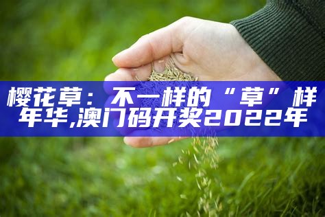 樱花草：不一样的“草”样年华, 澳门码开奖2022年