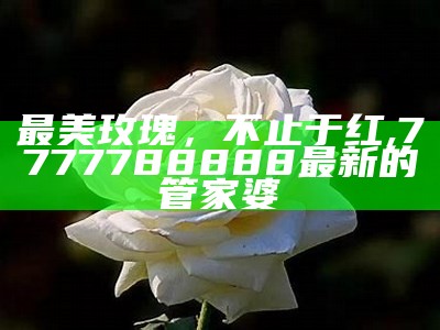 最美玫瑰，不止于红, 7777788888最新的管家婆