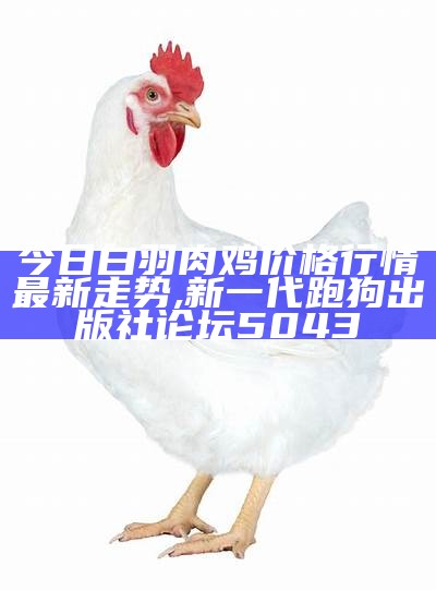 肉鸡行情今日价格：你想知道的小秘密, 7777788888管家婆网一