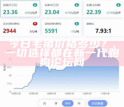 今日毛猪价格多少？, 一切选择都在新一代跑狗论坛网