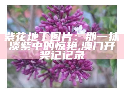 紫花地丁图片：那一抹淡紫中的惊艳, 澳门开奖记记录