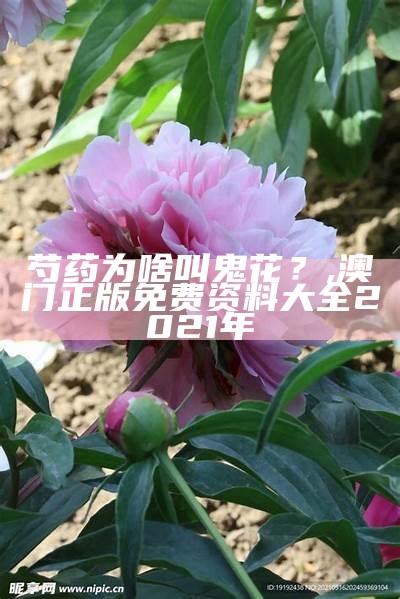 芍药为啥叫鬼花？, 澳门正版免费资料大全2021年