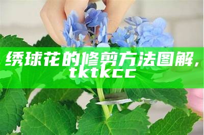 绣球花的修剪方法图解, tktkcc