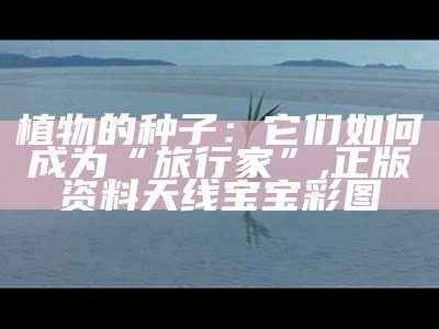 植物的种子：它们如何成为“旅行家”, 正版资料天线宝宝彩图