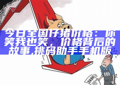 猪宝：价格背后的传奇, 刘伯温三肖三码必中一期