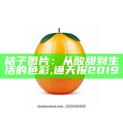 桔子图片：从酸甜到生活的色彩, 通天报2019