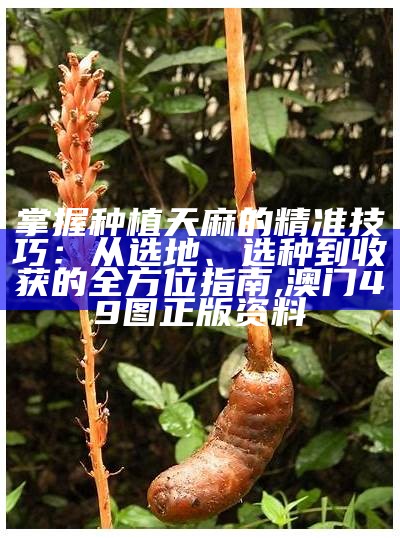 天麻的种植技术：那些你不知道的“地下秘密”, 4920800