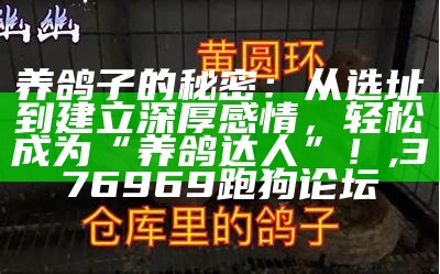 土鸽子养殖全攻略：从选种到销售的完美指南, 澳门4777777开奖记录