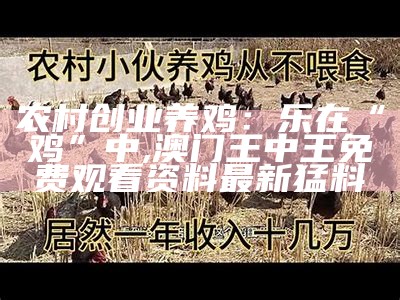 农村创业养鸡：乐在“鸡”中, 澳门王中王免费观看资料最新猛料